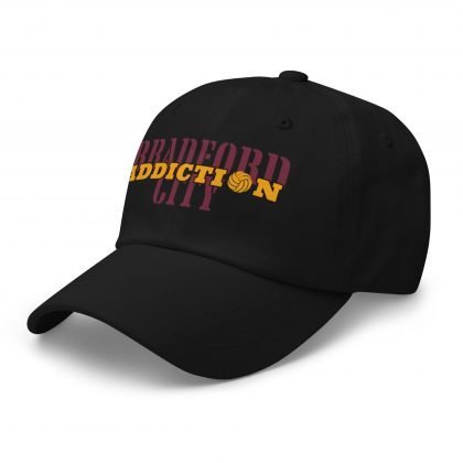 City Addiction Dad hat